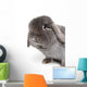 Rabbit on White Wall Decal