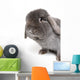 Rabbit on White Wall Decal