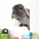 Rabbit on White Wall Decal