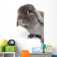 Rabbit on White Wall Decal