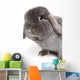 Rabbit on White Wall Decal