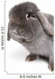 Rabbit on White Wall Decal