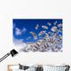 Money Falling From the Sky Wall Mural