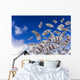 Money Falling From the Sky Wall Mural