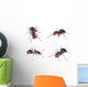 Horse Ants White Wall Decal Sticker Set