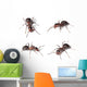 Horse Ants White Wall Decal Sticker Set