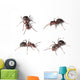 Horse Ants White Wall Decal Sticker Set