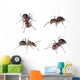 Horse Ants White Wall Decal Sticker Set