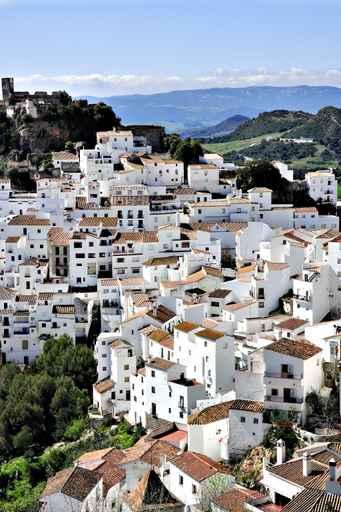 Dorf Casaris Wall Decal Design 3