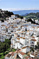 Dorf Casaris Wall Decal Design 3