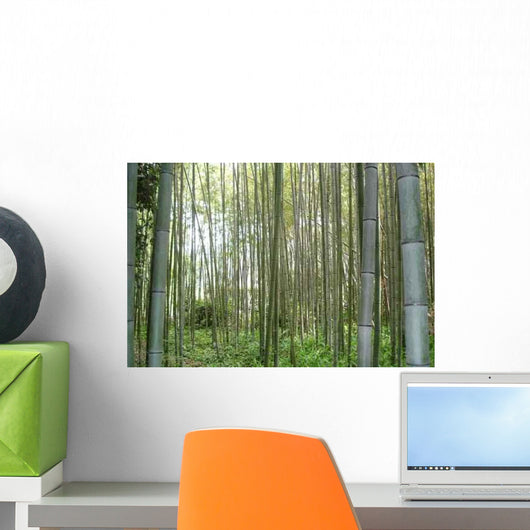 Foret Bambous Wall Decal