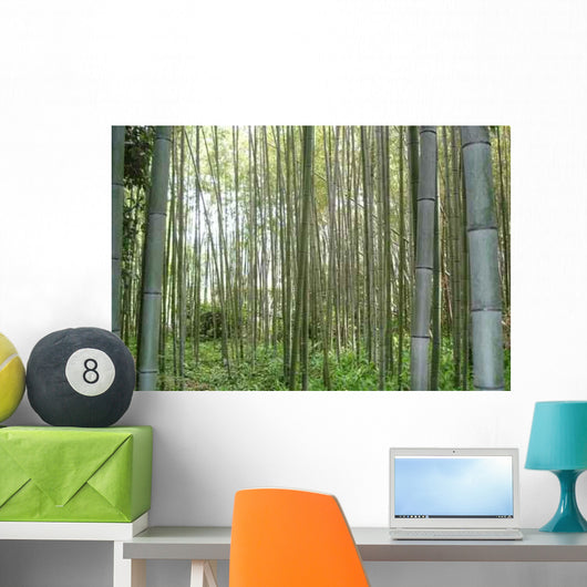 Foret Bambous Wall Decal