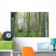Foret Bambous Wall Decal