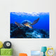 Green Seaturtle Swimming over