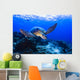Green Seaturtle Swimming over