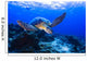 Green Seaturtle Swimming over