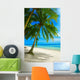 Tropical Beach