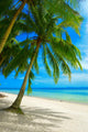 Tropical Beach
