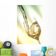 Pour white vine into glass with light background. Wall Mural