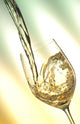 Pour white vine into glass with light background. Wall Mural