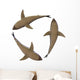 great white sharks Wall Decal