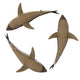 great white sharks Wall Decal