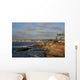 la jolla Wall Mural
