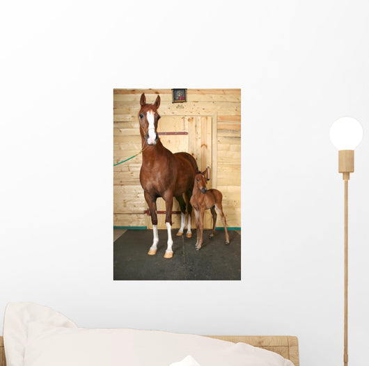 Horse with Foal