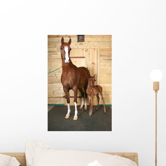 Horse with Foal