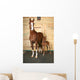 Horse with Foal