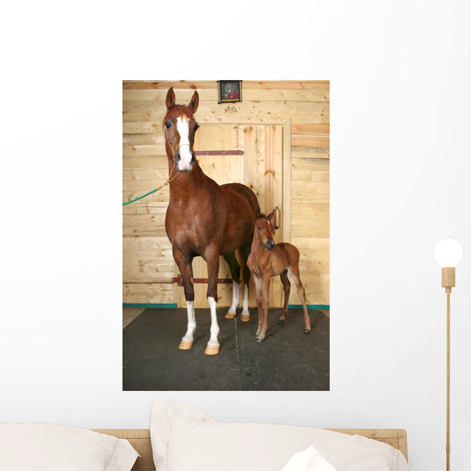Horse with Foal