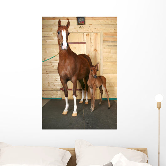 Horse with Foal