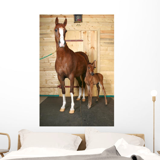 Horse with Foal