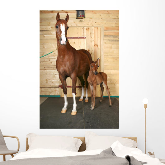 Horse with Foal