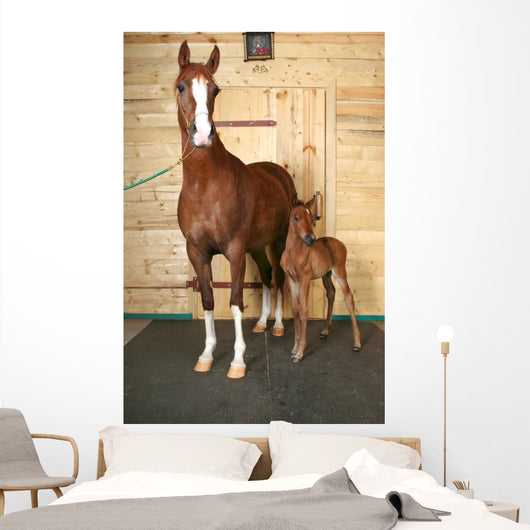 Horse with Foal