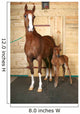 Horse with Foal