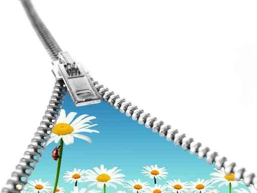 Flower Hidden behind Zip Wall Decal Design 1