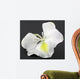 Fleur Blanche Bauhinia Larbre