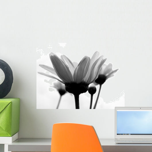 Daisy Wall Mural