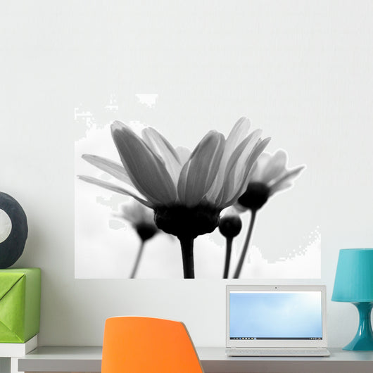 Daisy Wall Mural