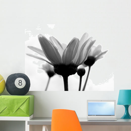 Daisy Wall Mural