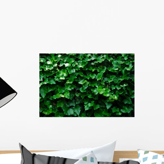Horizontal Ivy