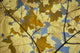 Yellow Fall Leaves Wall Mural