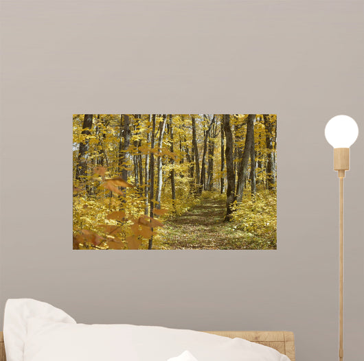 Yellow Fall Forest Path Wall Mural