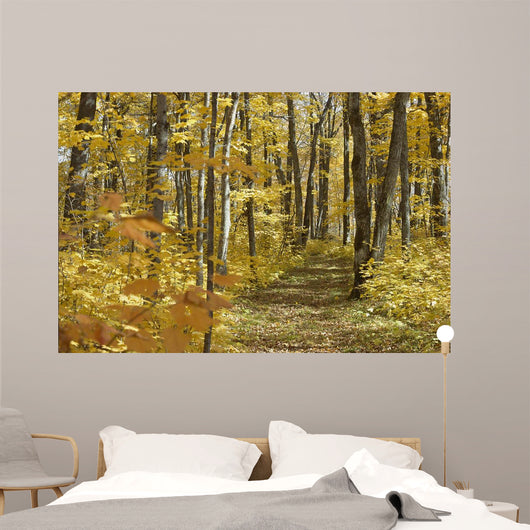 Yellow Fall Forest Path Wall Mural