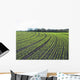 Field Crops Wall Decal