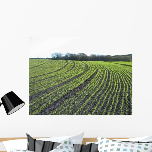 Field Crops Wall Decal