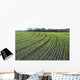 Field Crops Wall Decal