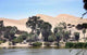 Oasis Huacachina Wall Decal