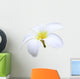 isolated white Plumeria Wall Decal